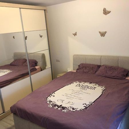 Apartament modern Târgoviște în regim hotelier Extérieur photo