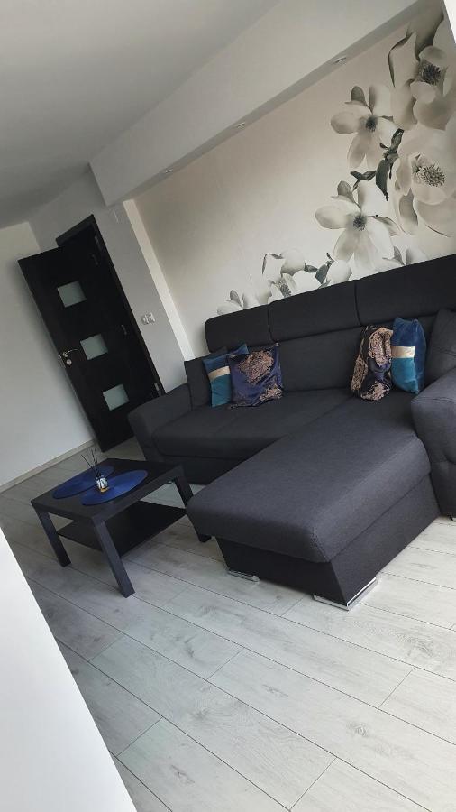 Apartament modern Târgoviște în regim hotelier Extérieur photo